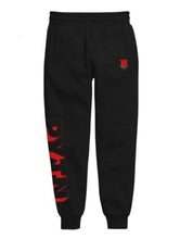 Load image into Gallery viewer, Payton moormeier merch hoodie women men print Social Media Stars hoodies pants set Funny